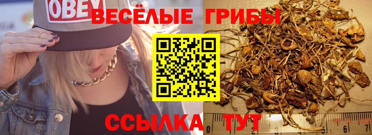 Псилоцибиновые грибы Psilocybine cubensis  Вход с VPN  Барнаул 