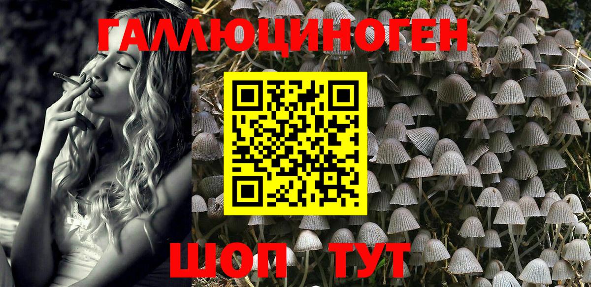 Псилоцибиновые грибы MAGIC MUSHROOMS Барнаул